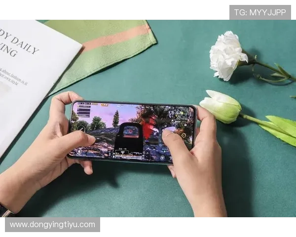 平博线上手机版游戏界面优化与操作体验提升的实用技巧